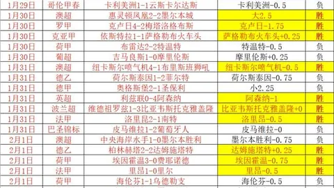 哈兰德射门引发桥冈大树意外自进球