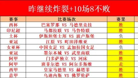 麦克拉伦赞滕哈格提拔梅努B费列其执教前五球星